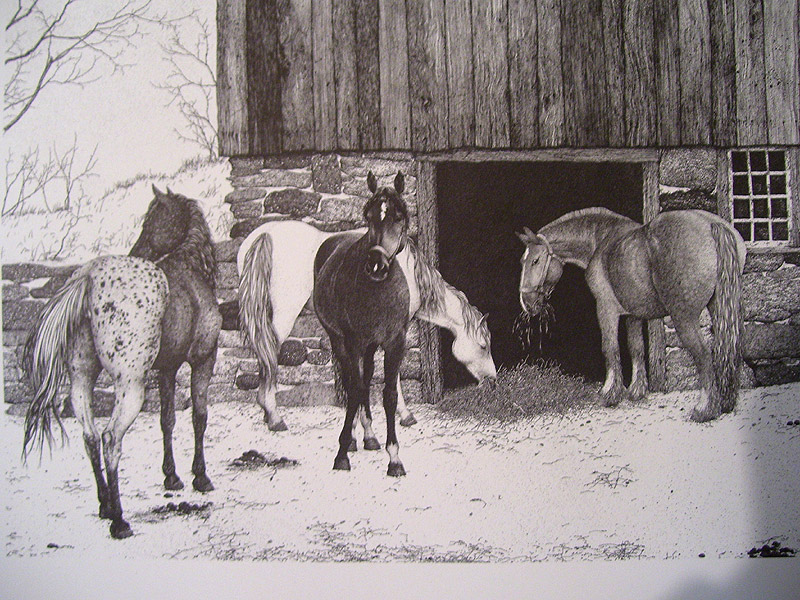 800x600 Four Horses Pen Ink Print - Horse Ink Drawing