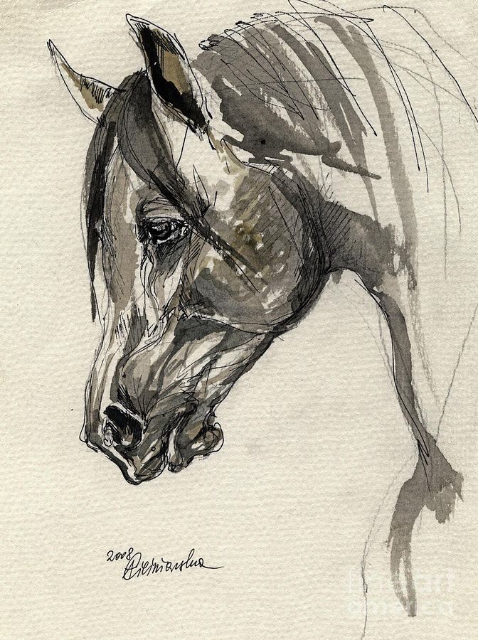 672x900 grafik polish arabian horse ink drawing drawing - Horse Ink Drawing