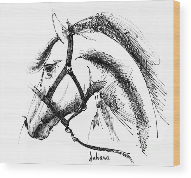 655x608 Horse Face Ink Sketch Drawing Wood Print - Horse Ink Drawing