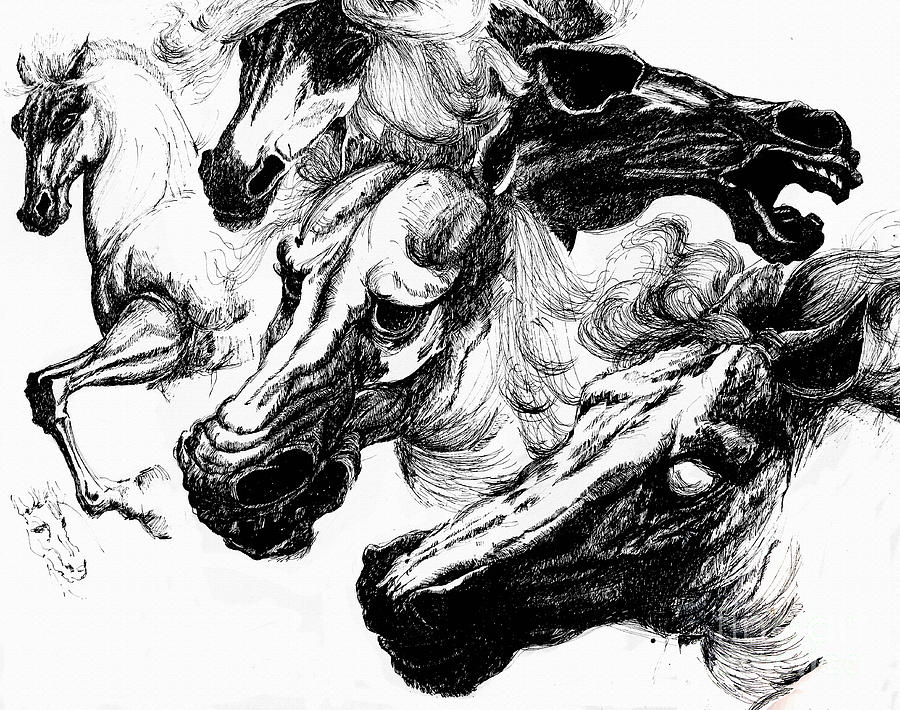900x710 Horse Ink Drawing Drawing - Horse Ink Drawing