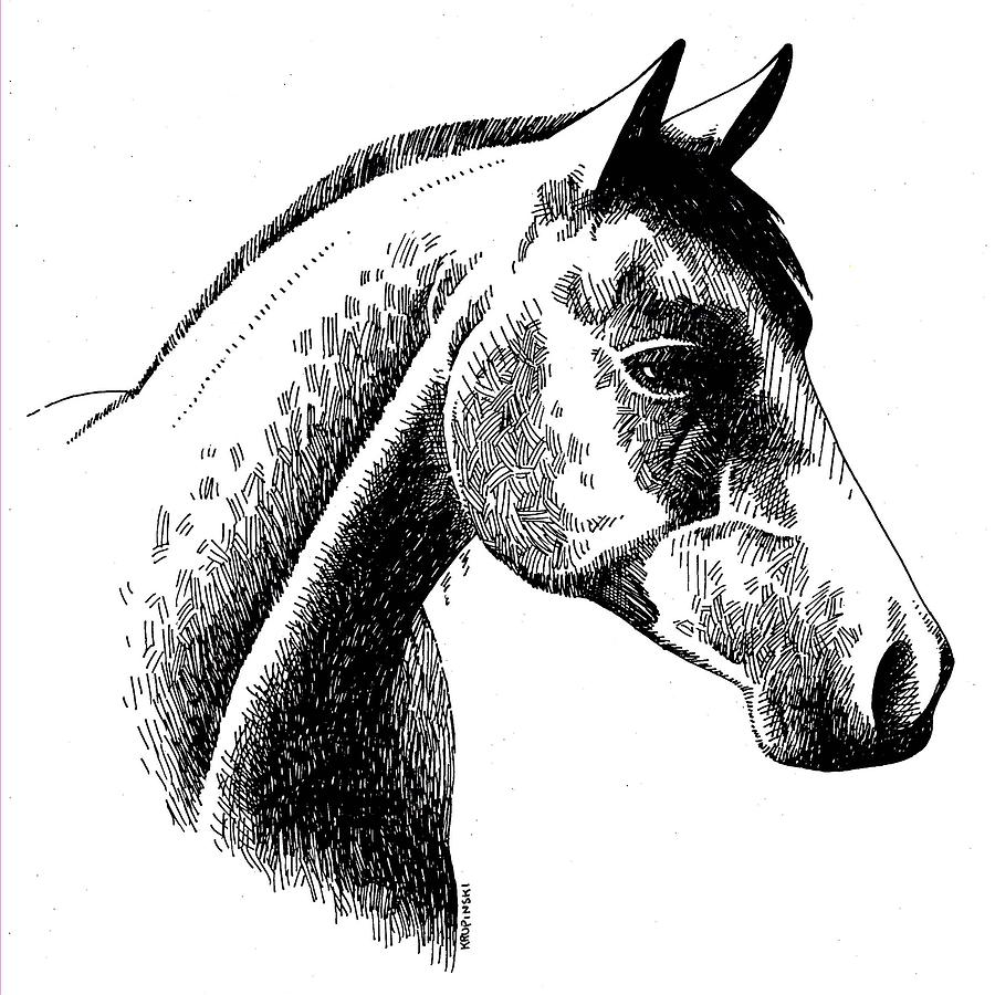 900x900 Horse Ink Drawing - Horse Ink Drawing