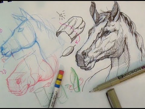 480x360 Pen And Ink Drawing Tutorials How To Draw A Horse Portrait - Horse Ink Drawing
