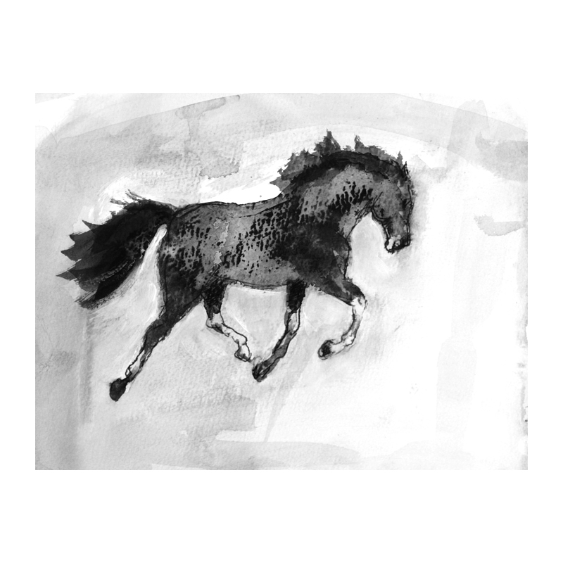 800x800 The Dancing Horse Dancing Horse Ink Drawing On Paper - Horse Ink Drawing