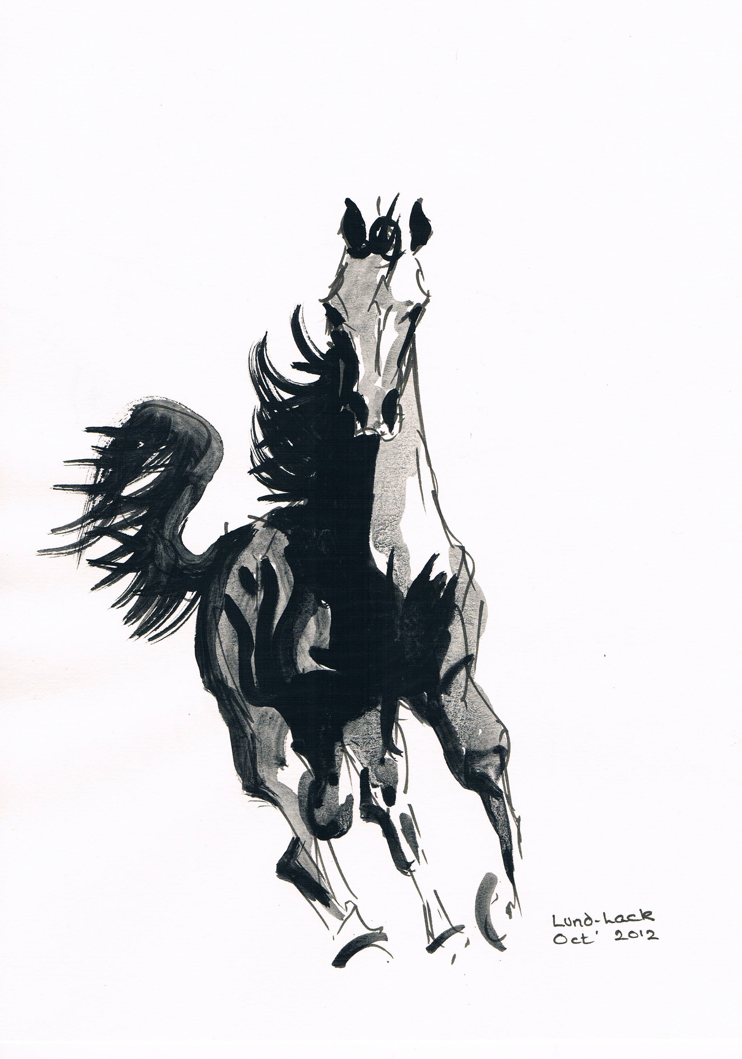2409x3437 Tom Lund Lack Artwork Running Horse No Original Painting Ink - Horse Ink Drawing