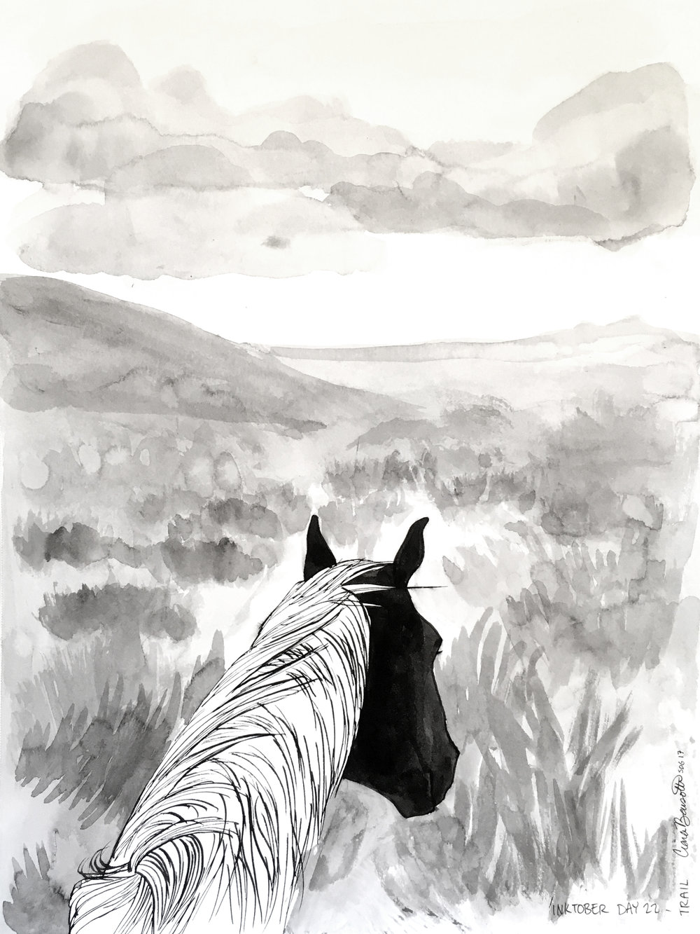 1000x1333 Trail Horse Ink Drawing Ciara Barsotti Art - Horse Ink Drawing