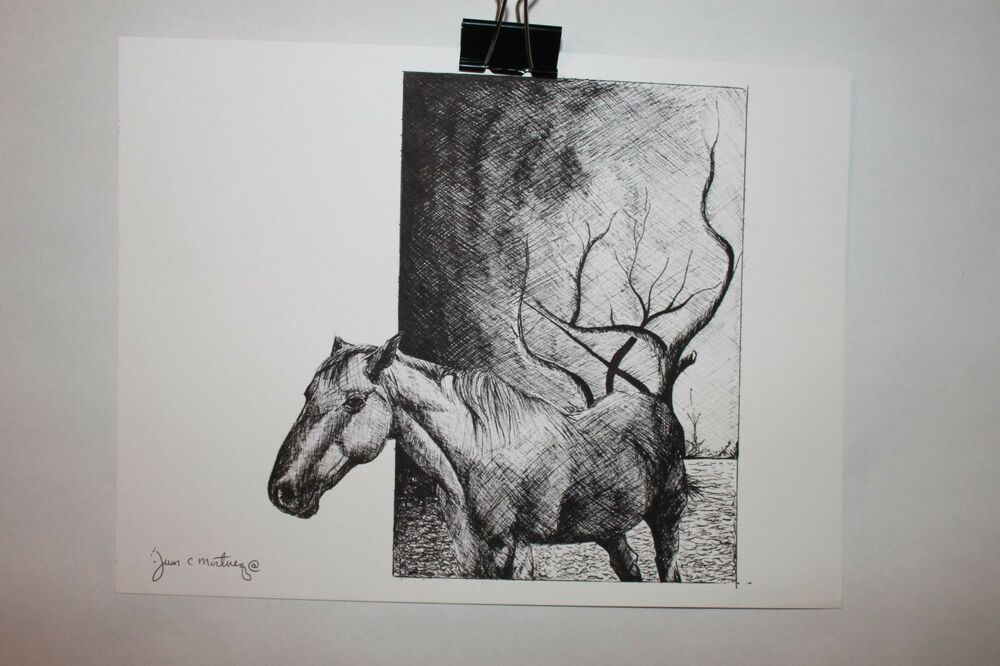 1000x666 Horse Ink Drawing Ebay - Horse Ink Drawing