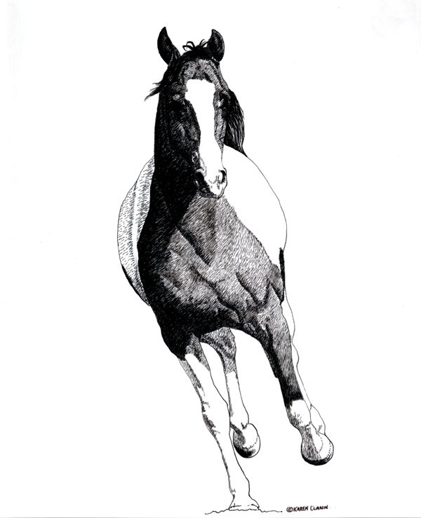 600x739 Pen Ink Running Horse - Horse Ink Drawing