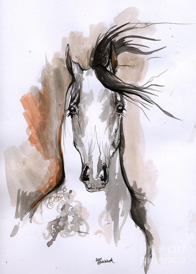 642x900 Arabian Horse Ink Drawing Drawing - Horse Ink Drawing
