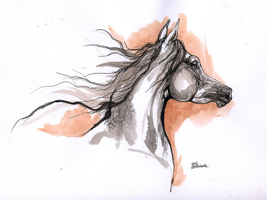 900x673 Arabian Horse Ink Drawing Drawing - Horse Ink Drawing