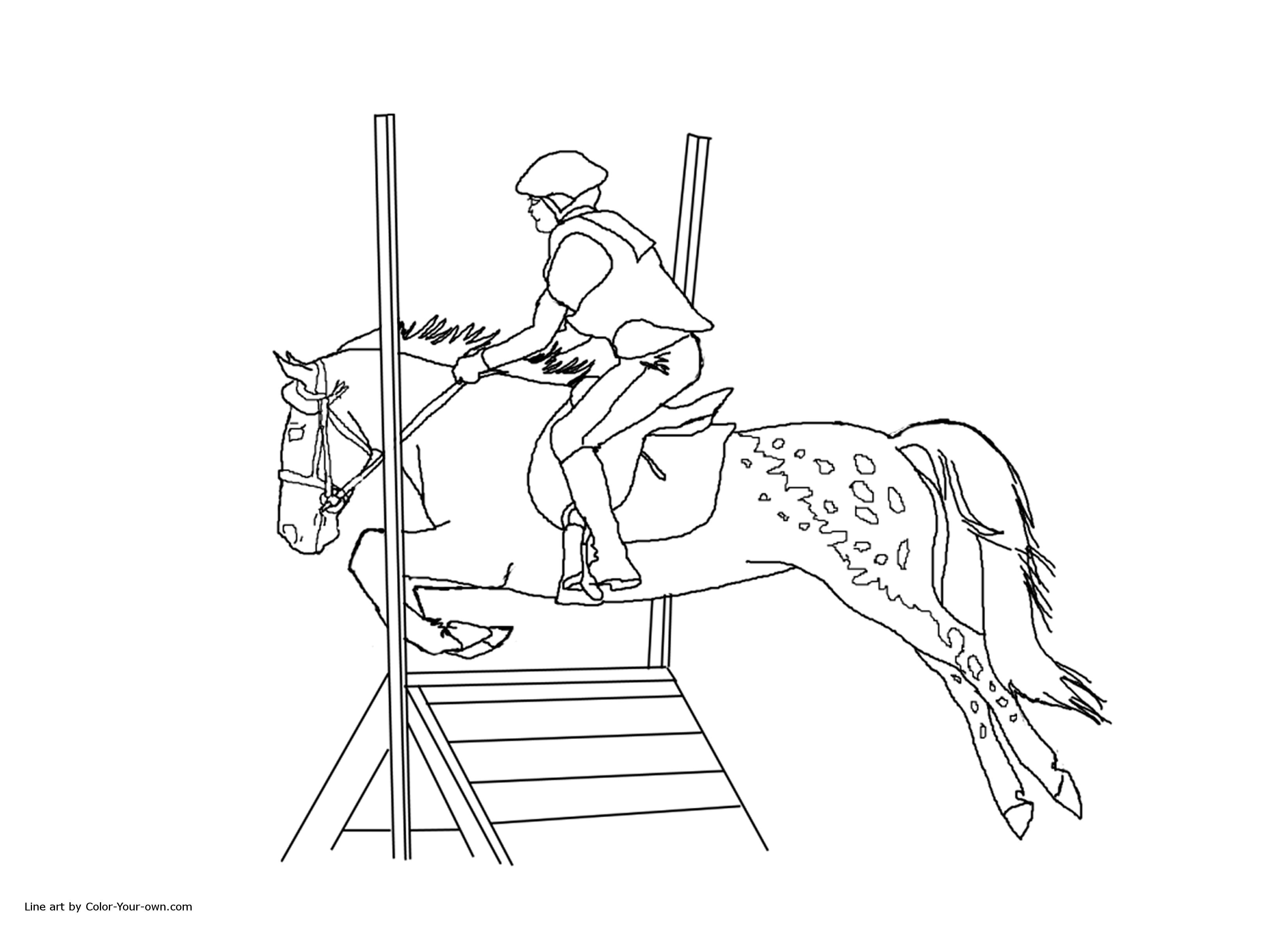 3300x2400 Horse Jumping Coloring Pagesbest Photo Gallery - Horse Jumping Drawing