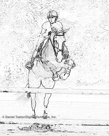 440x550 Horse Jumping Drawing - Horse Jumping Drawing