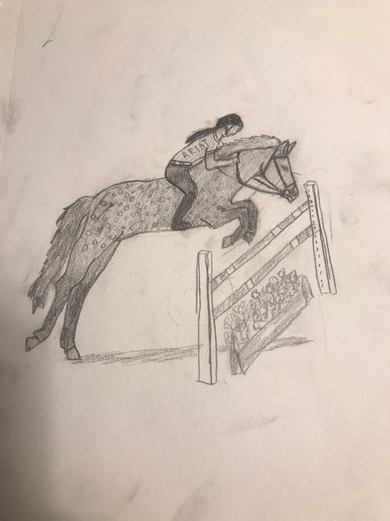 768x1024 horse jumping drawing equestrian amino - Horse Jumping Drawing