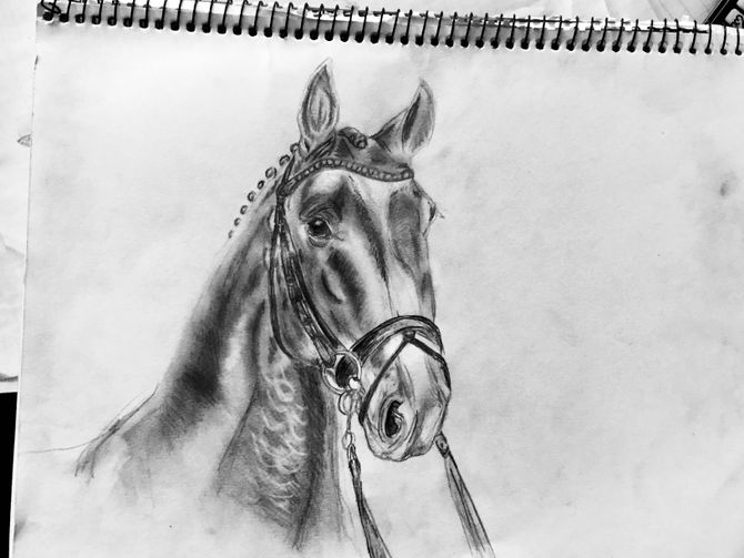 Horse Jumping Drawing at PaintingValley.com | Explore collection of ...