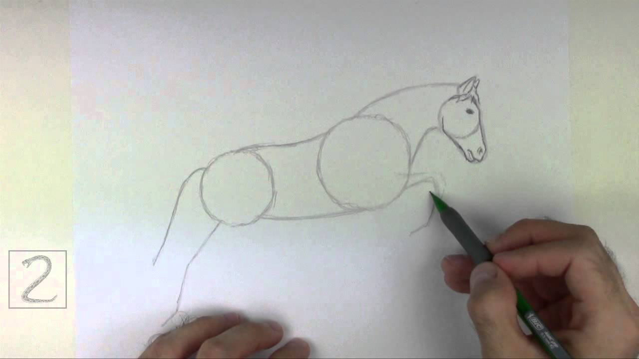 1280x720 How To Draw A Horse Jumping - Horse Jumping Drawing
