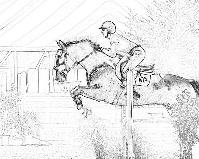 Horse Jumping Drawing at PaintingValley.com | Explore collection of ...