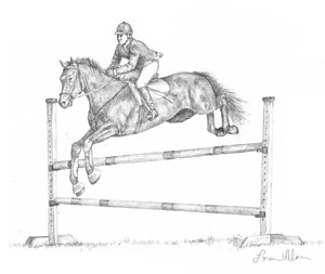 Horse Jumping Drawing at PaintingValley.com | Explore collection of ...