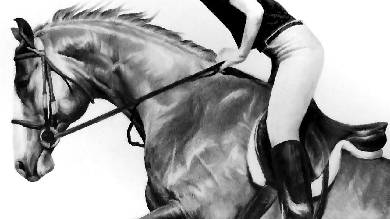 1280x720 Speed Drawing - Horse Jumping Drawing