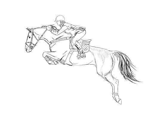 499x414 Horse Jumping Drawing - Horse Jumping Drawing