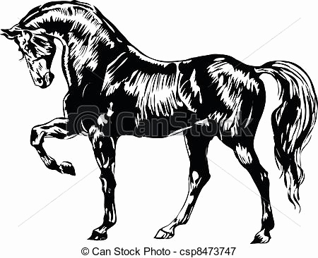 450x366 horse line drawing clip art unique horse line drawing clip art - Horse Line Drawing Clip Art