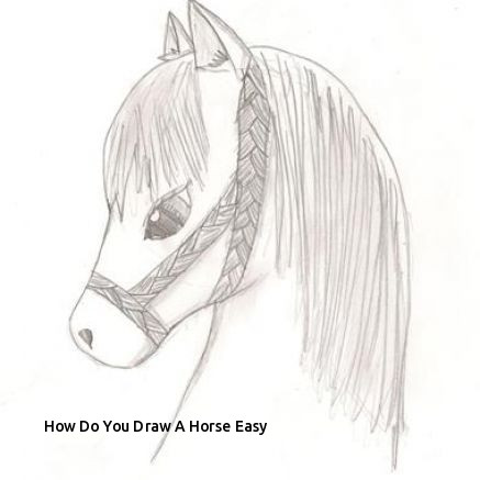 437x437 How Do You Draw A Horse Easy Horse Line Drawings Clip Art - Horse Line Drawing Clip Art