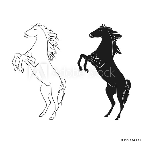 500x500 horse on hind legs - Horse On Hind Legs Drawing