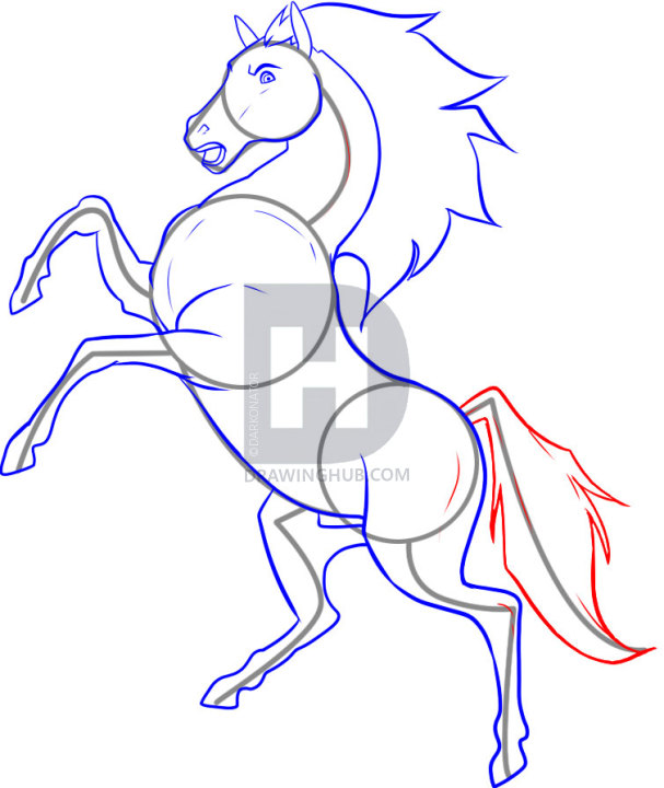 607x720 how to draw a stallion, step - Horse On Hind Legs Drawing