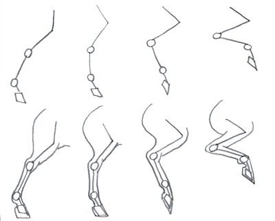 400x321 how to draw horses legs the easy way - Horse On Hind Legs Drawing