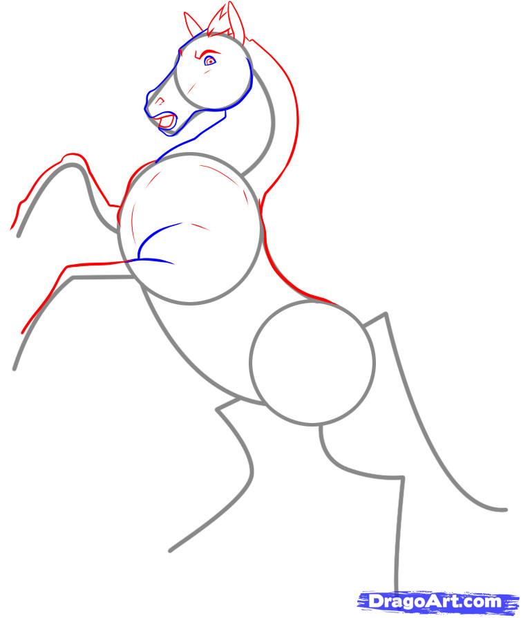 Horse On Hind Legs Drawing at Explore collection