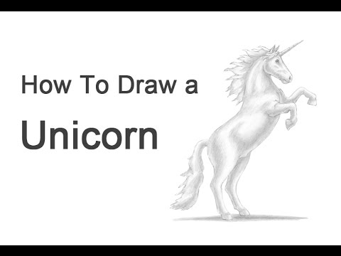 480x360 how to draw a unicorn - Horse On Hind Legs Drawing