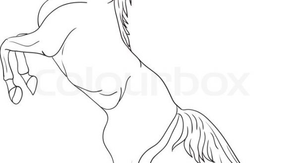 585x329 amazing chic how to draw a standing horse coloring - Horse On Hind Legs Drawing