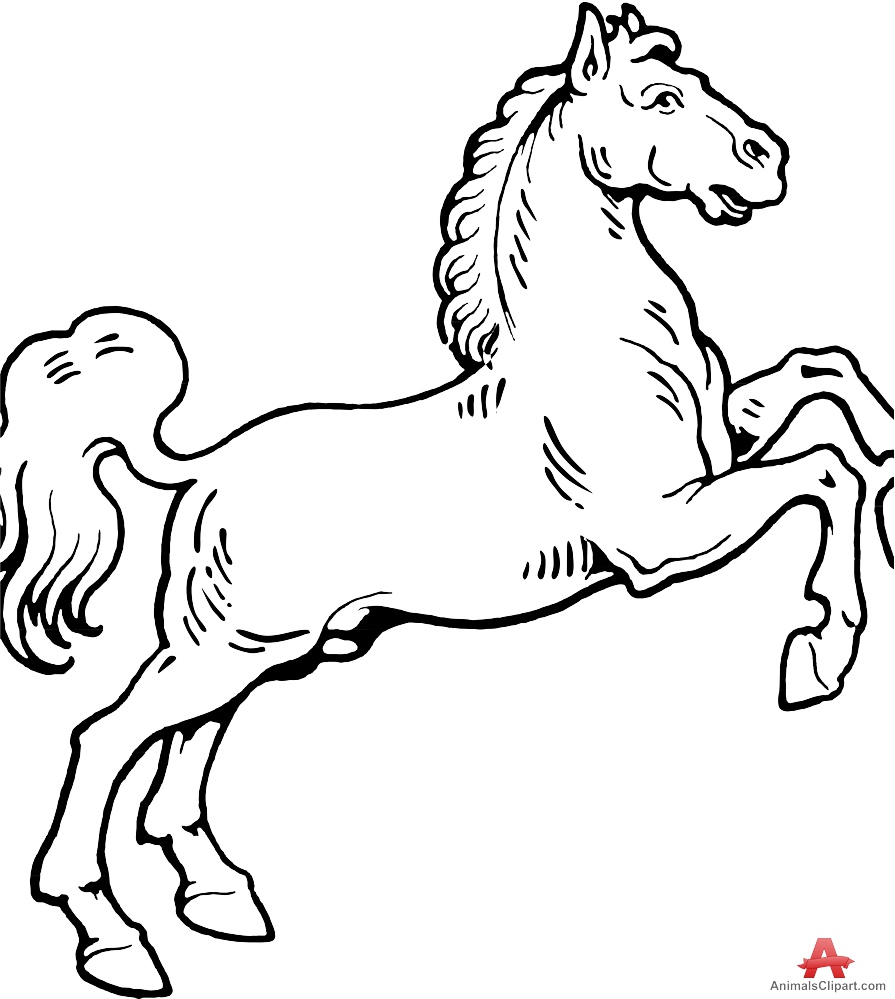 Horse Outline Drawing at Explore collection of