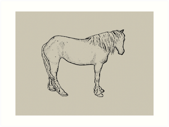 549x413 Horse Drawing Standing Horse, Outline Art Equine Art Art Prints - Horse Outline Drawing