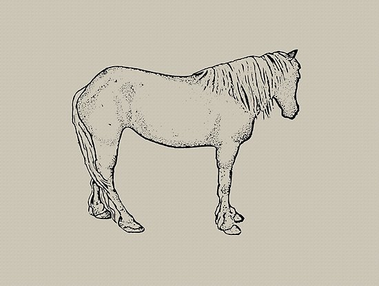 550x415 Horse Drawing Standing Horse, Outline Art Equine Art Posters - Horse Outline Drawing