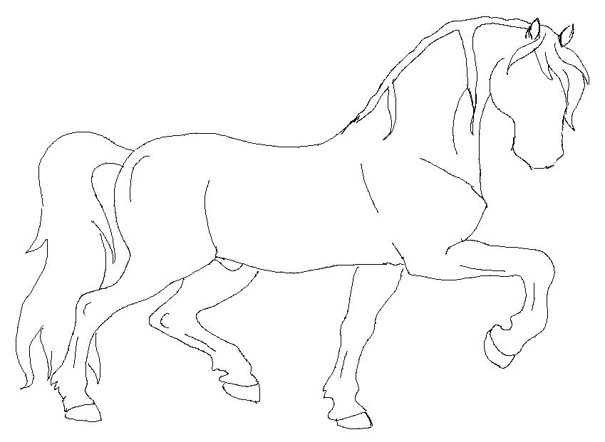 849x621 Horse Sketches Outline Horse Outline - Horse Outline Drawing