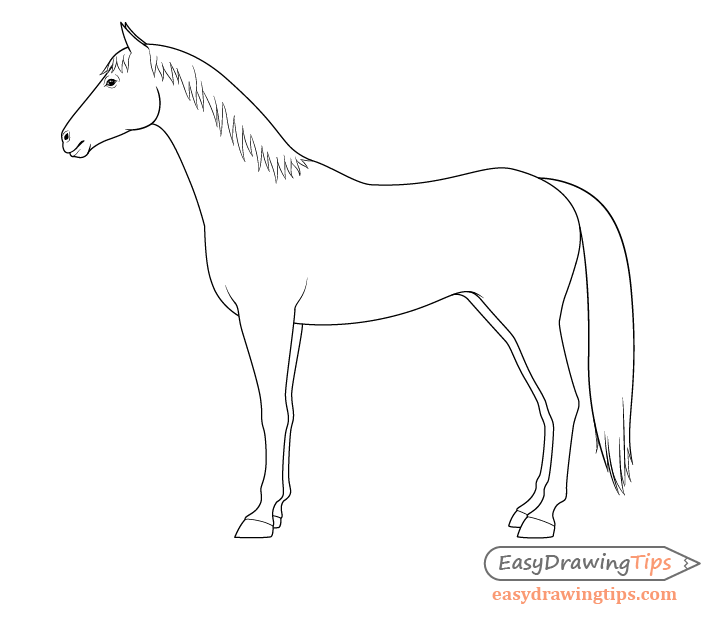 728x620 How To Draw A Horse From The Side View Tutorial - Horse Outline Drawing