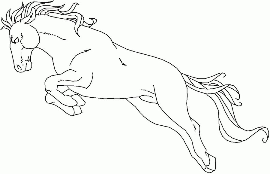 900x579 Jumping Horse Outline Drawing - Horse Outline Drawing