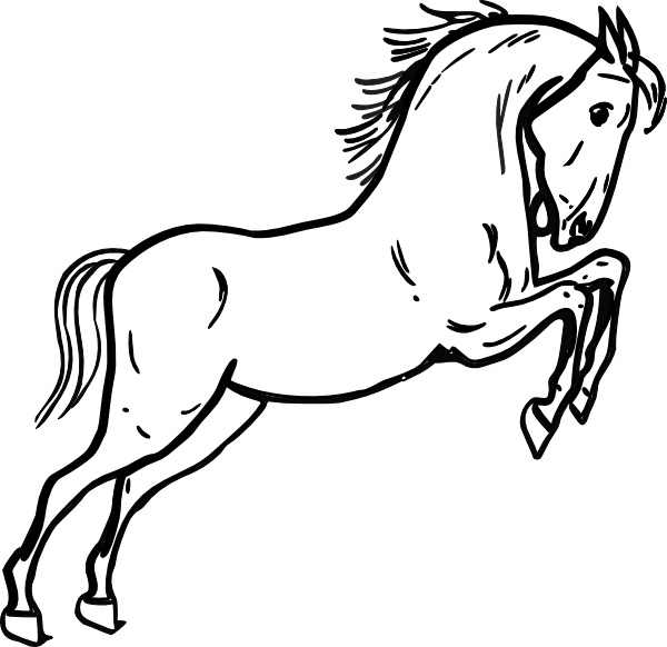 600x582 Jumping Horse Outline Clip Art Free Vector In Open Office Drawing - Horse Outline Drawing