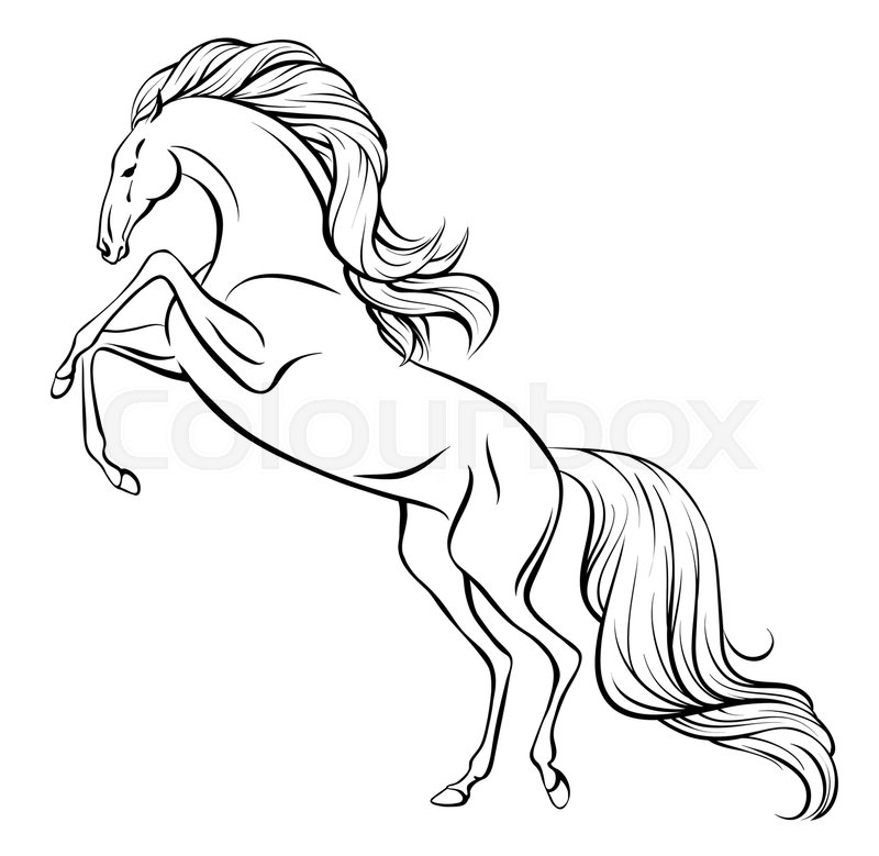 800x779 outline vector drawing of a rearing stock vector colourbox - Horse Outline Drawing