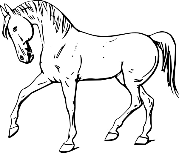600x513 Walking Horse Outline Clip Art Free Vector In Open Office Drawing - Horse Outline Drawing