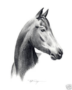 241x300 horse pencil drawing equestrian x art print - Horse Pencil Drawing