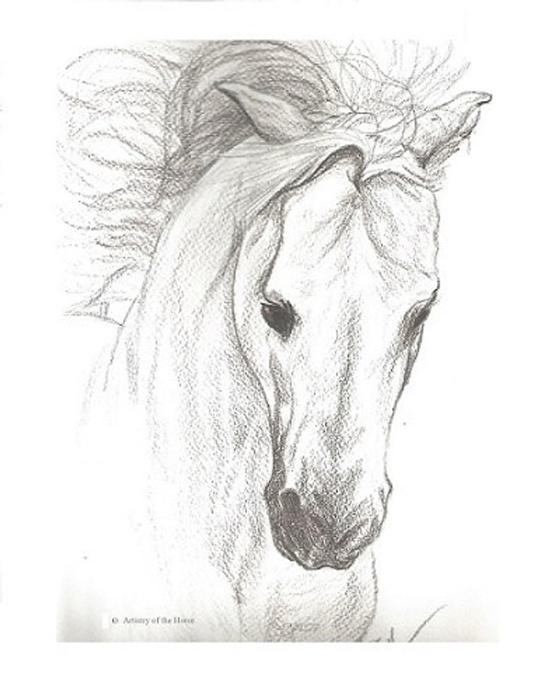 794x983 horse horse drawing horse print horse pencil drawing etsy - Horse Pencil Drawing