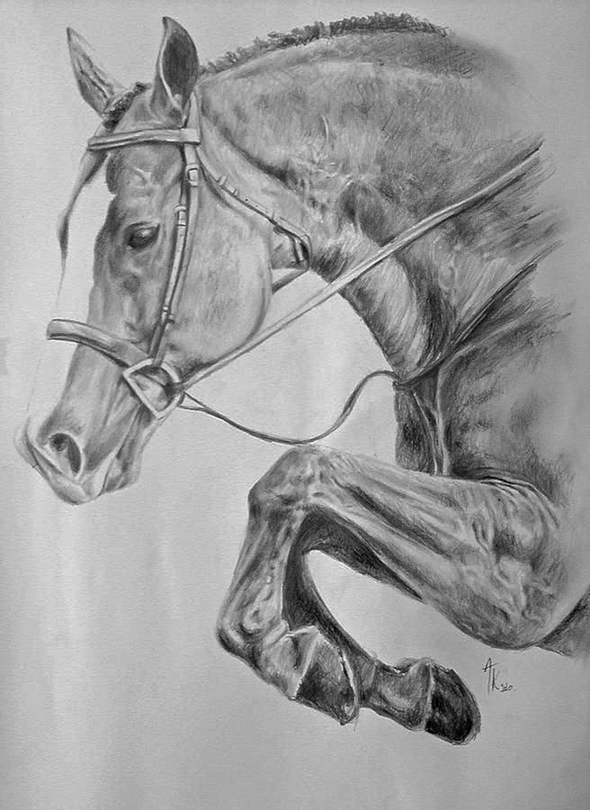 656x900 Horse Pencil Drawing Drawing - Horse Pencil Drawing