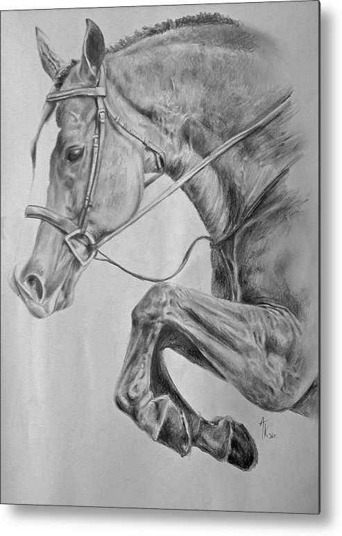 493x773 Horse Pencil Drawing Metal Print - Horse Pencil Drawing