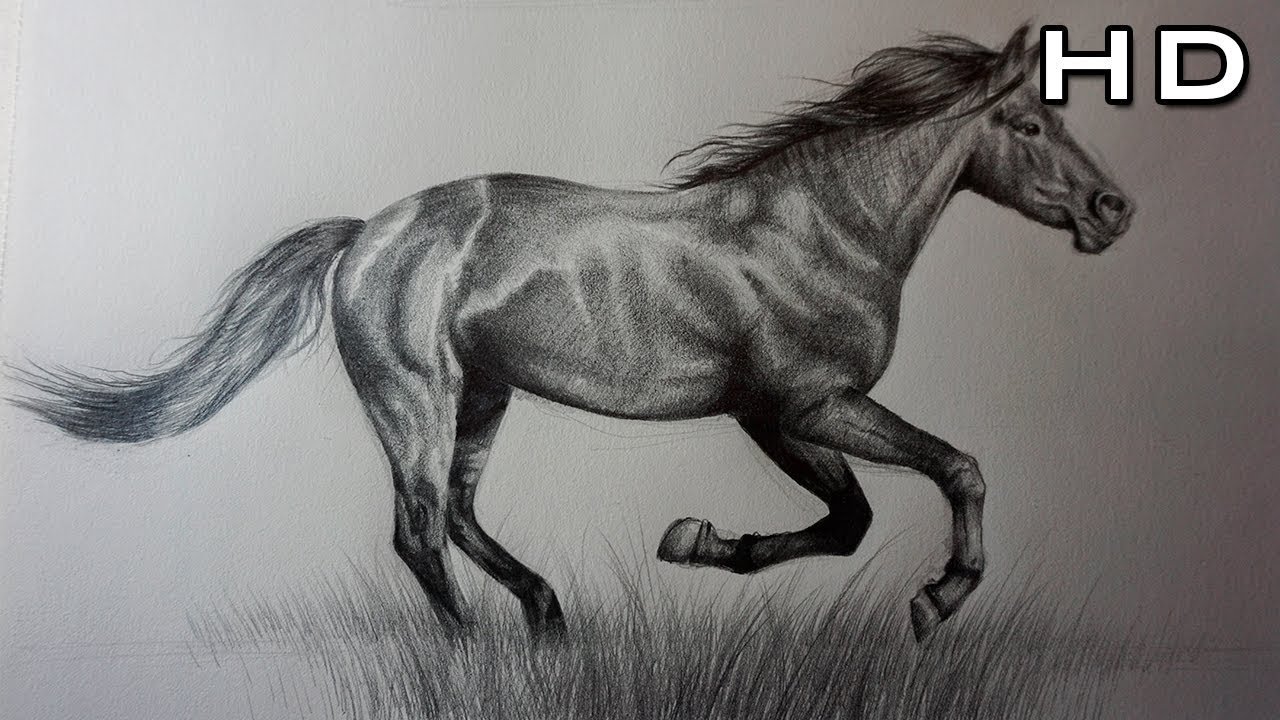 1280x720 How To Draw A Horse With Pencil Step - Horse Pencil Drawing
