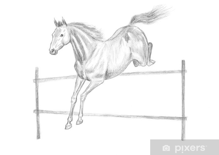 700x497 Jumping Horse Pencil Drawing, Hand Drawn Wall Mural Pixers - Horse Pencil Drawing