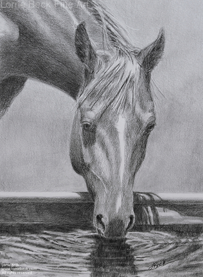 659x900 lorrie beck - Horse Pencil Drawing
