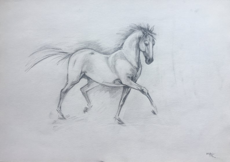 794x559 original pencil sketch of horse pencil sketch horse sketch etsy - Horse Pencil Drawing