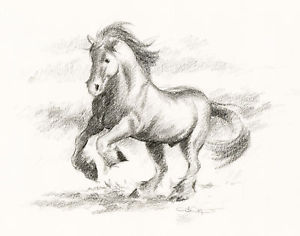 300x236 Shire Horse Original Pencil Drawing - Horse Pencil Drawing
