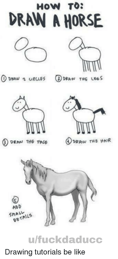 500x1094 How To Draw A Horse Draw The Pae Draw The Hair Add Details - Horse Pictures Drawing