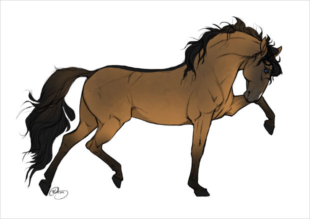 620x438 Beautiful Horse Drawings, Art Ideas Design Trends - Horse Pictures Drawing